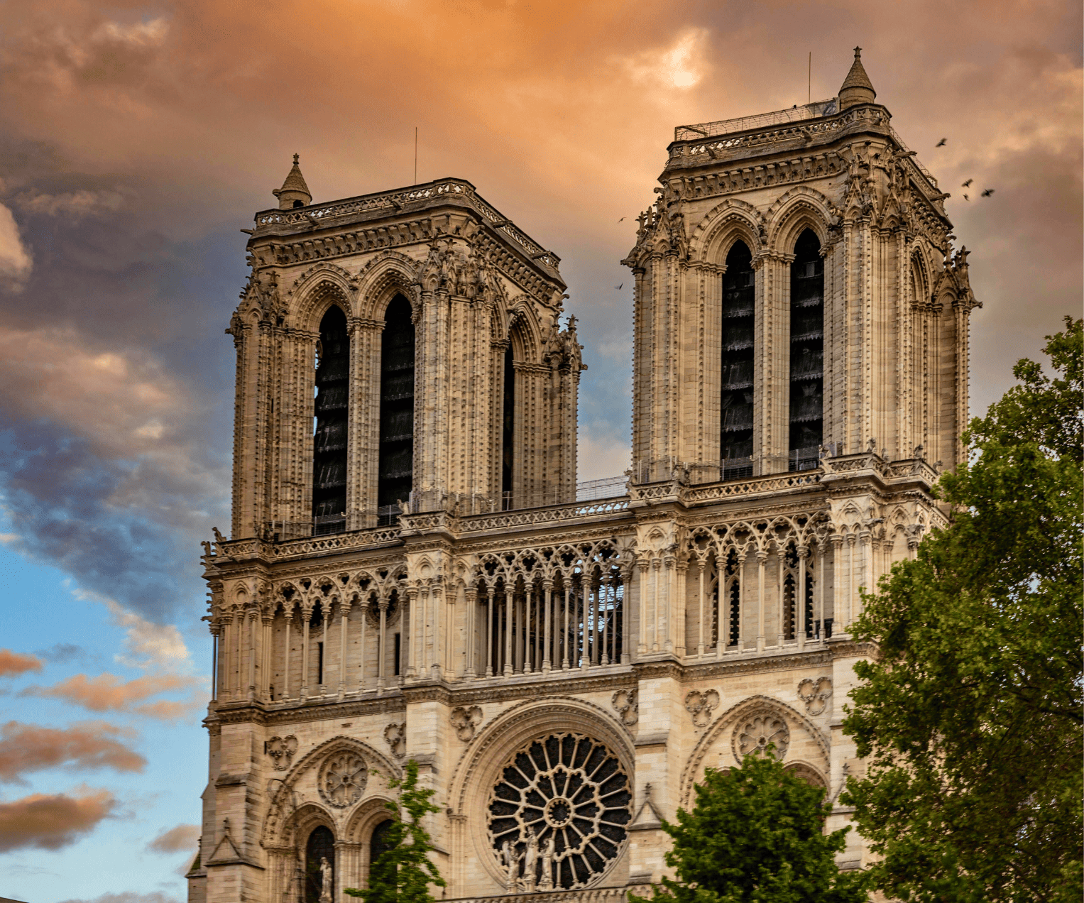 cathédrale notre dame de paris