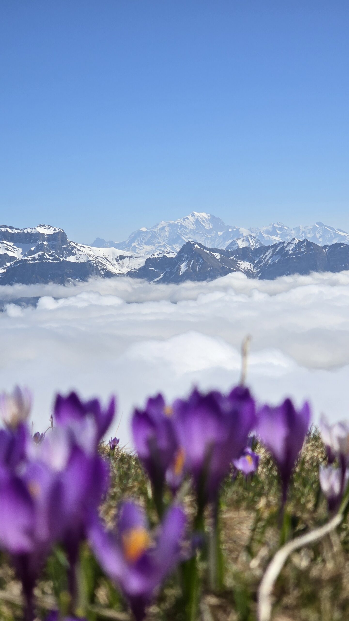 semnoz - mont blanc